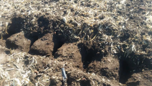 Traditional Ripper Points leave hard ridges in soil structure