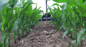 360 Y-Drop SideDress