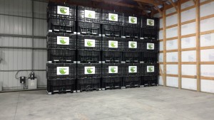 Channel Seed
