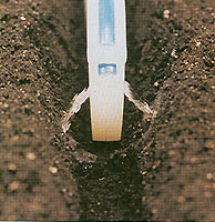 Keeton Seed Firmer