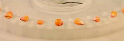 Seed on eSet Desk